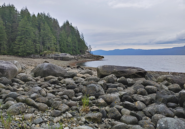 20220615_131451_HDR_edited.png