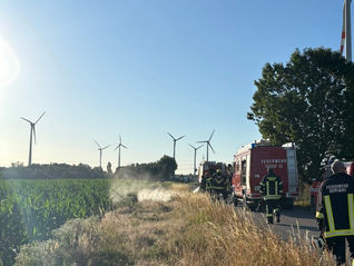 B2 Vegetationsbrand in Rohrau