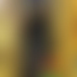 GCSE PE INDOOR CLIMBING