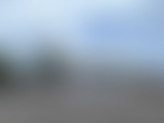 Empire Diner Market Day Feast Raises $350 for Gull Lake Seniors Hall