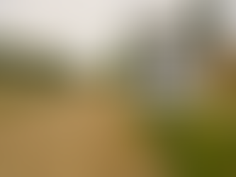 Speed limit sign of 40 km/h on a rural dirt road with grassy sides and buildings in the background, conveying a calm, countryside setting.