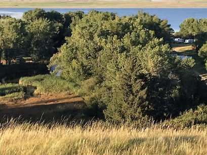 Grassy field with tall trees near a lake. Campers are visible through the trees. The mood is serene with sunset lighting.