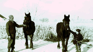 From Horses to Hydrants: The Legacy of "Slim" Willman