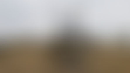 Welcome sign to the Village of Tompkins with goat and dog silhouette. Flags atop the sign. Dry grassy field, trees, and flowers in the foreground.