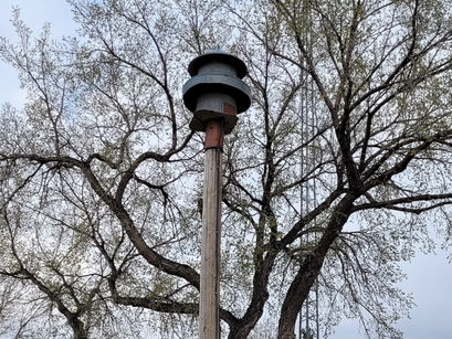 What the Gull Lake Siren Really Means