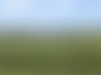 Hitching Post Restaurant Opens in Gull Lake