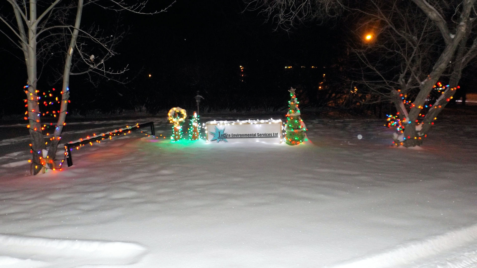 Christmas Cove 2018