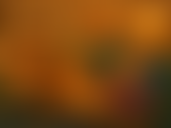 The People Who Keep This Town Going