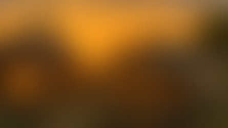 Coffee Row Chronicles: Town Hall Transparency, Escape Rooms & Greyhound Baseball