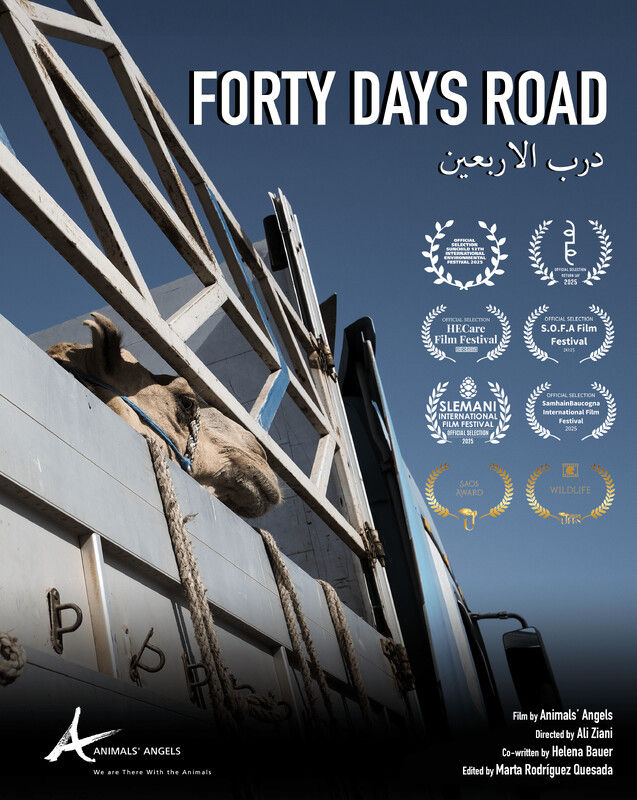Forty Days Road