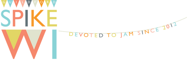 Spike WI long logo.png