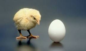 Abortion and When Life Begins
