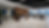 ED053892-5C3E-444F-BB23-30C5A318AD16.png