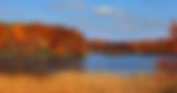 imgi_2_SS-lake-in-michigan.jpg
