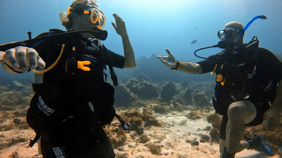 Miniatura: Underwater Proposal Extravanagza