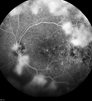 Capture d’écran 2022-03-31 à 10.52.49.png