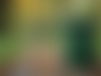 10 Essential Steps for WEEE Compliance in Your Electronics Business