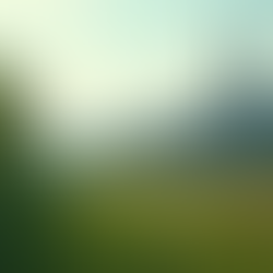 Uncovering Hidden Risks: The Power of Effective Social Compliance Audits