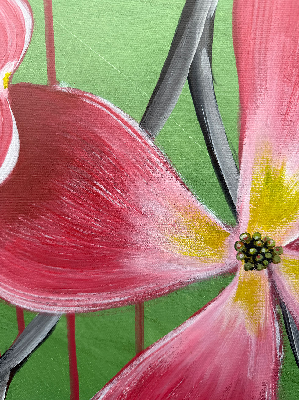Thumbnail: Dream of Dogwood Flowers