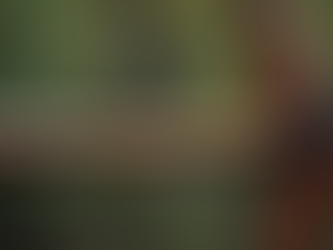 Understanding the Essentials of Archery Gear and Services