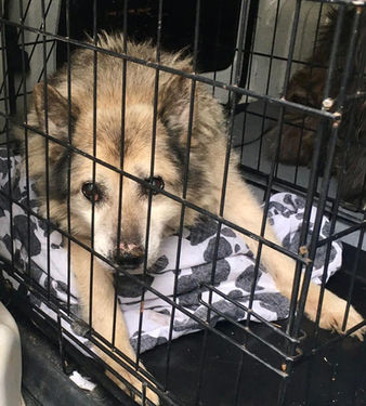 WhatsApp Image 2023-01-25 at 19.28.02.jpg