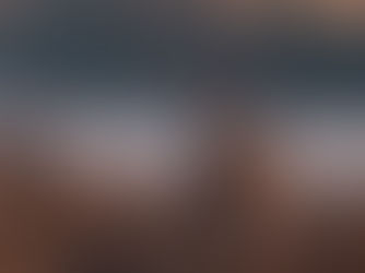 Life of a Whitetail: Daily Patterns Hunters Need to Understand