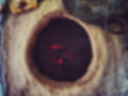 IMG_3799.jpeg