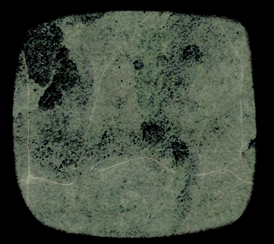 Untitled-3.gif