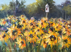 Sunflower Fields