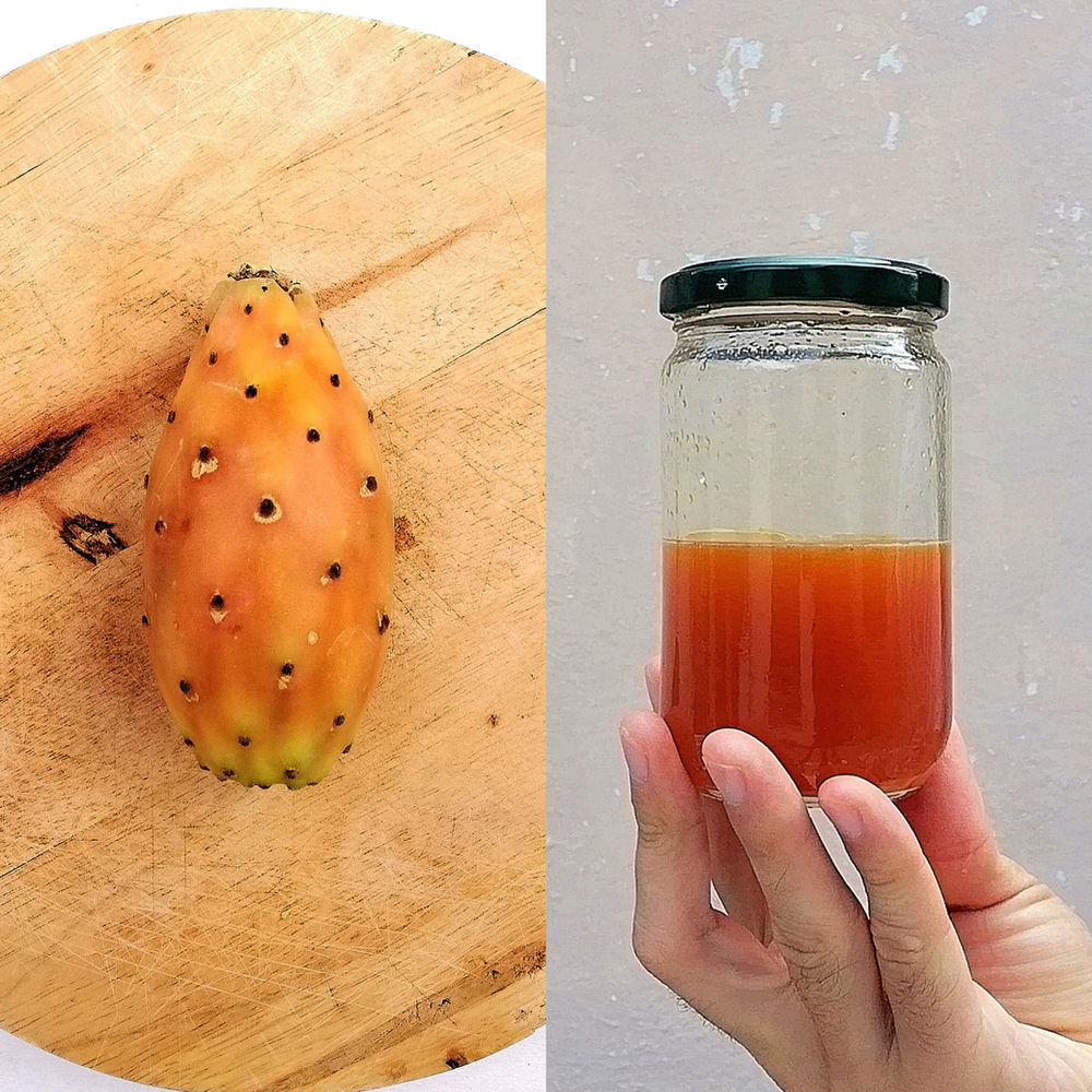 Use Prickly Pear for Cocktails and Mocktails