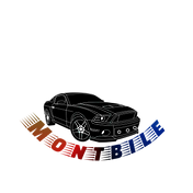 Logo_Maker_com_ist_logomaker_Wed_Nov_09_13_07_15_GMT_2022_1667999235062.png
