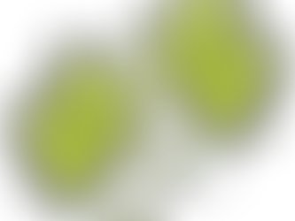1年たっての成長