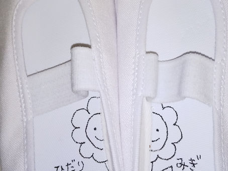 どっちかな?