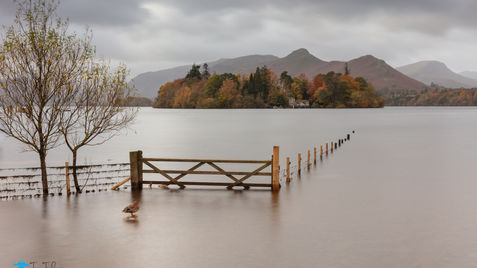 Gate to the Island.jpg