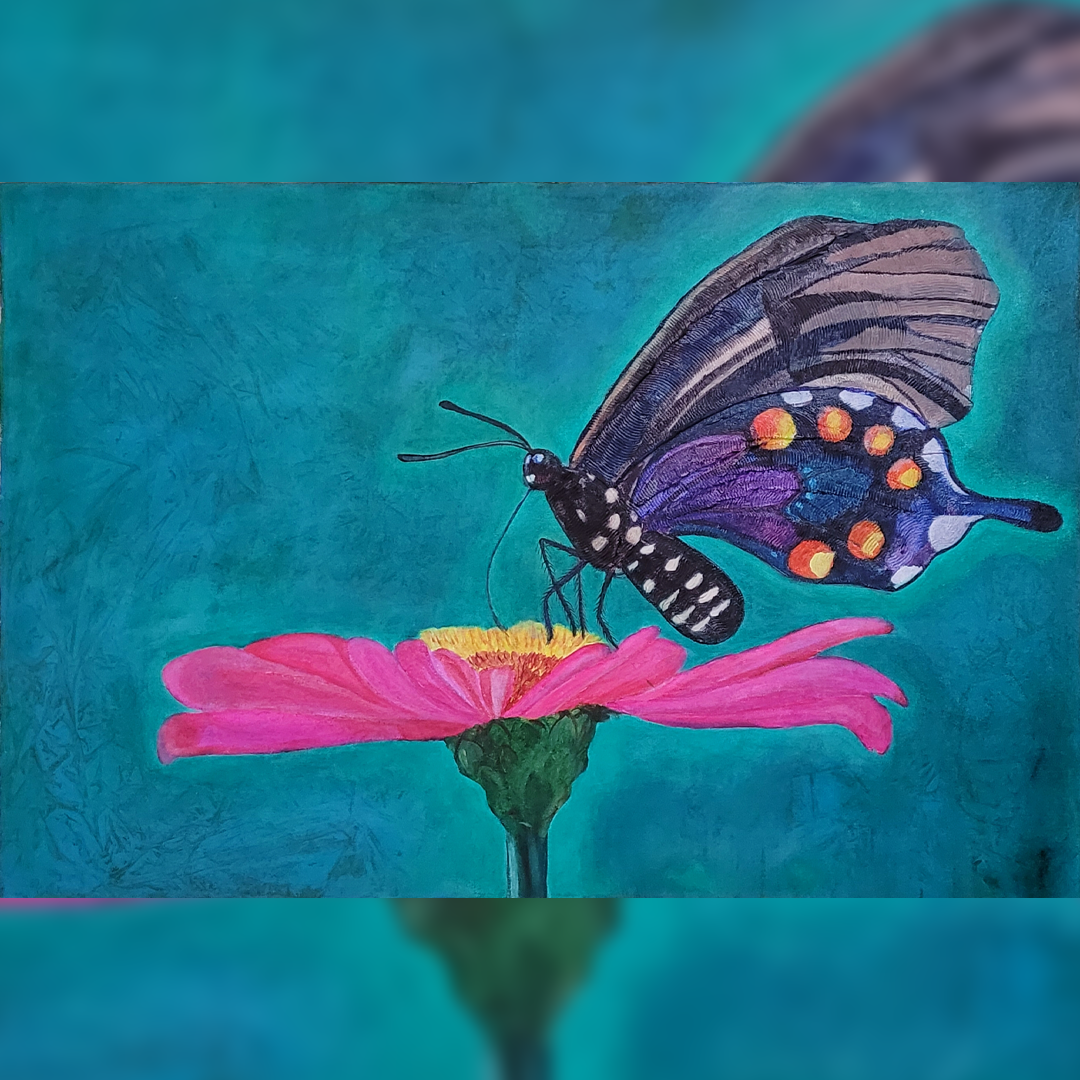 Butterfly on Flower