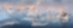04 Workation-min.jpg