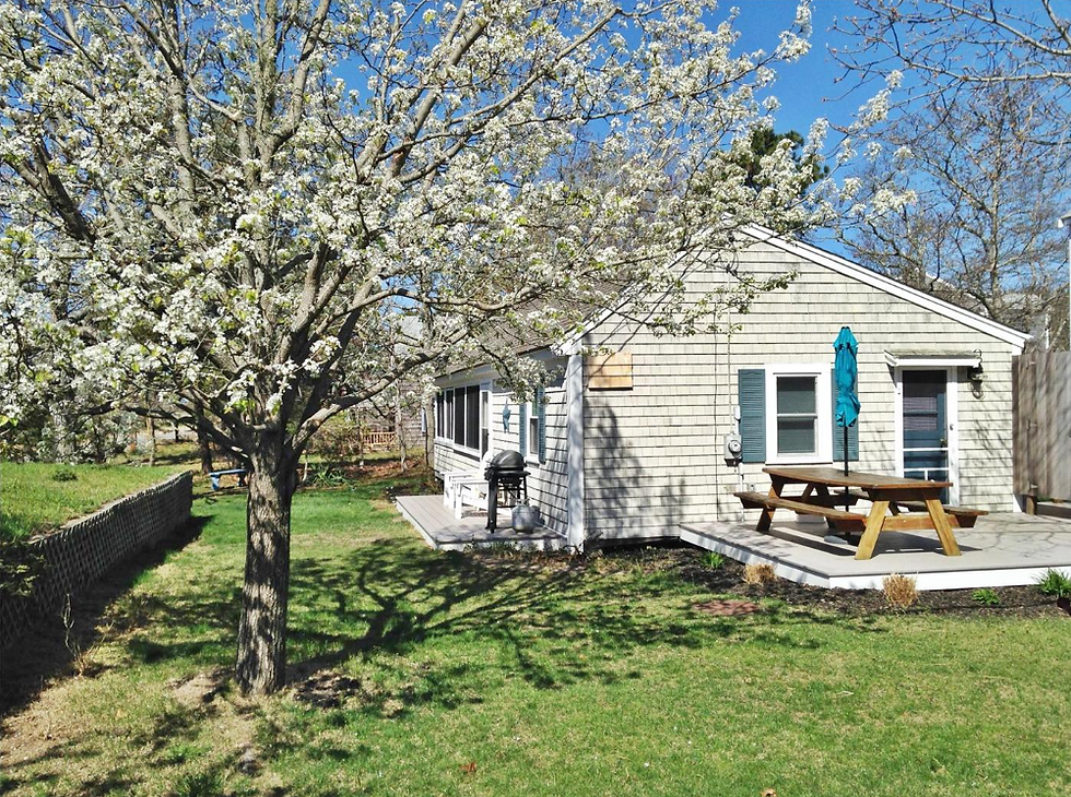 Cozy cottage with a picnic table and tree on a sunny day.