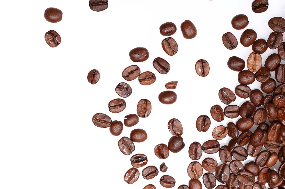 beans.jpeg