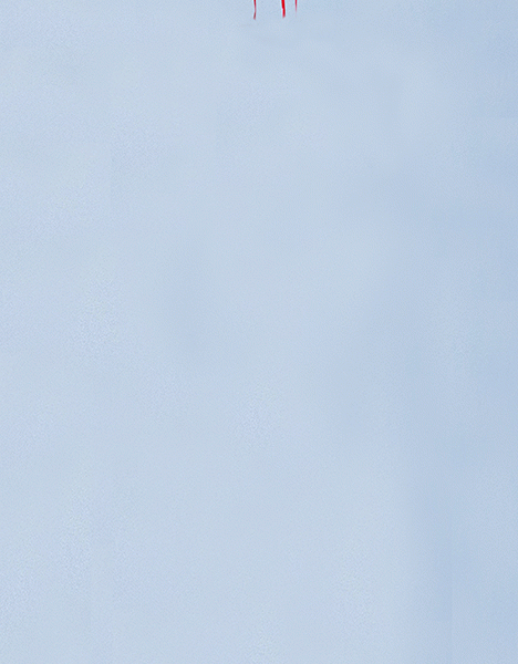 gif-00022.gif