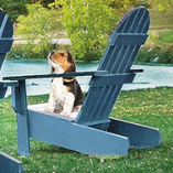 Screenshot 2023-06-25 at 12.48.57 PM.png