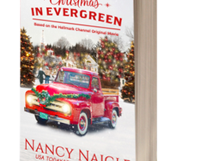 Novelization of Hallmark Movie - Don't miss out!