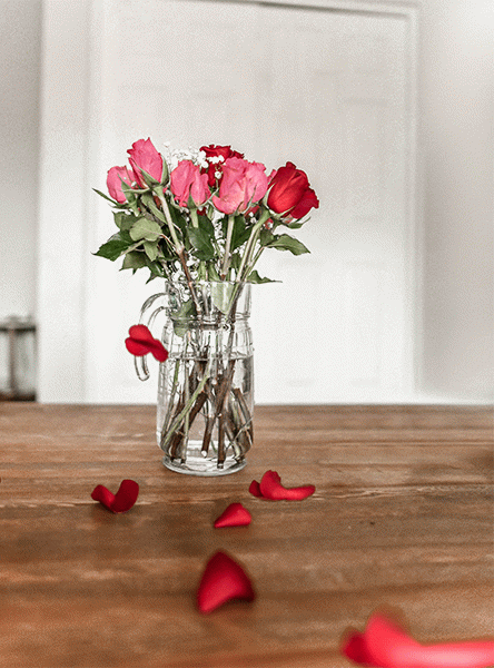 gif-00020.gif