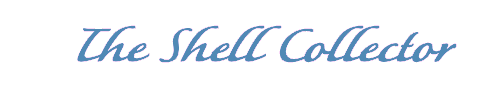 TSC%252520Title%252520Script%252520one%2