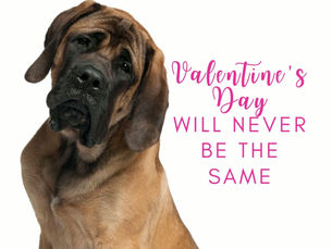 Valentine's Day is coming soon!