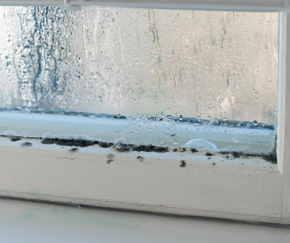 lower home humidity