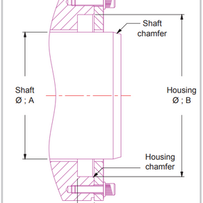 Walkersele M1 ve M6 Arasındaki Farklar Nelerdir?