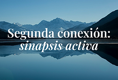 Sinapsis-02.png