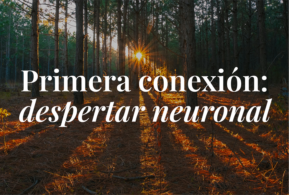 despertar-03