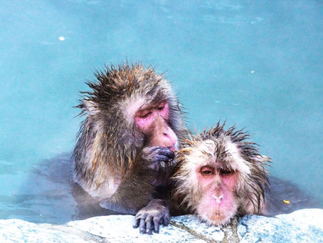 日本人にはマッサージが必要だ。