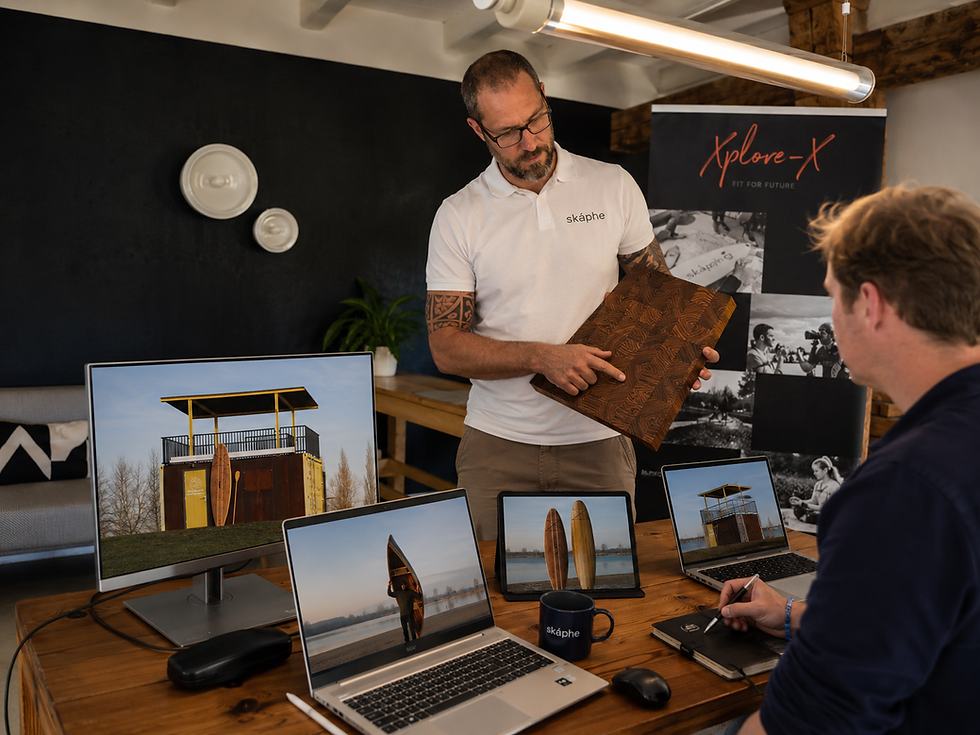 skaphe Workshop Strategie